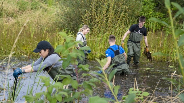 RSPB NI launches 5-point 'Green Recovery Plan' for Covid-19