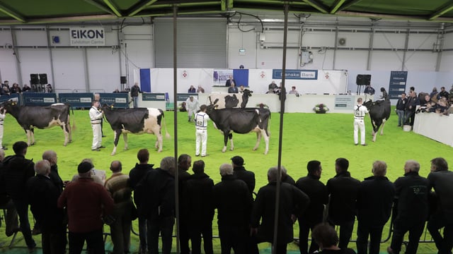 Winter Fair Online to reveal first 'Champion of the Decade'
