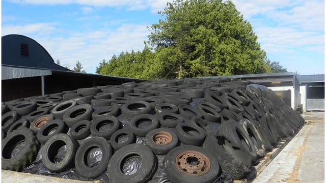 Reducing purchased concentrates with improved silage quality