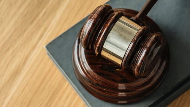 ICC brings High Court challenge against government decision to exclude coursing in Level 5
