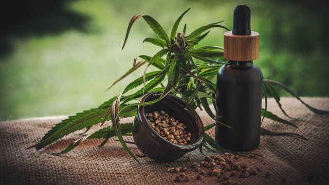EU court ruling on CBD a 'lifeline' for Ireland's hemp industry