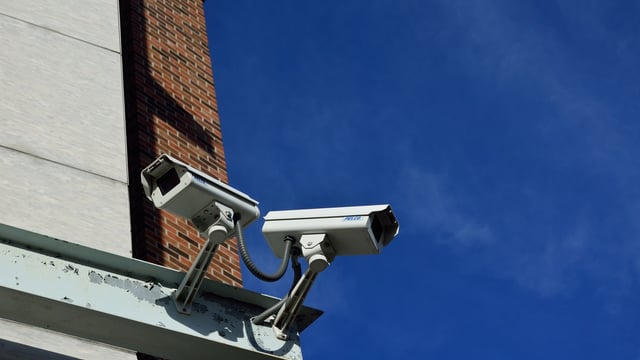 Vets hope NI will follow Scottish lead for compulsory cameras in abattoirs