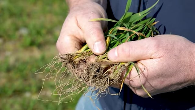New €100/ha support for tillage farmers is 'short' of what is required