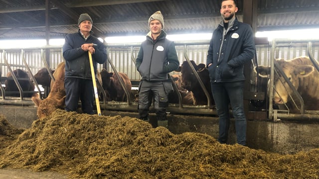 Beef Focus: Breeding 170 Stabiliser cows in Co. Meath