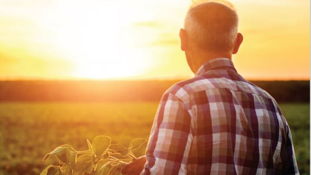 Webinar to offer advice on farm debt solutions