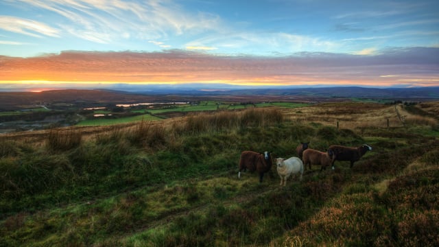 New rural development policy in the final stages of drafting - Humphreys