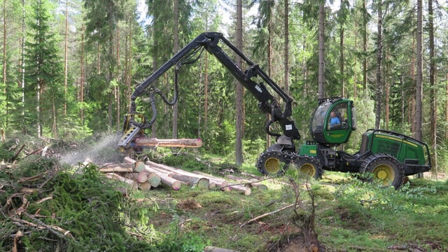 Contractors 'must be included' in new forestry policy group