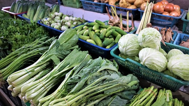 Has the Agri-Food Regulator delivered for farmers in Q1 2024?