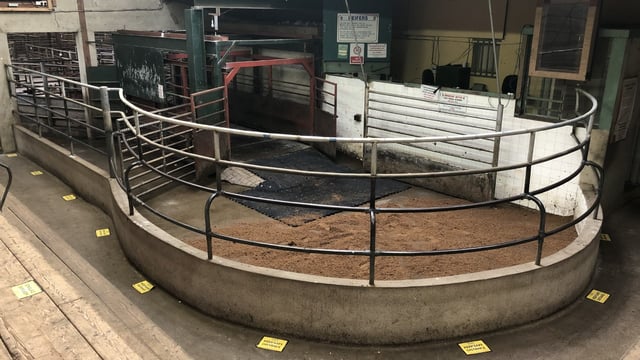 Raphoe and Cork Marts cancel scheduled sales for this coming week