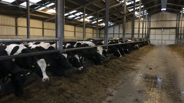 Professor questions evidence for reducing derogation stocking rates