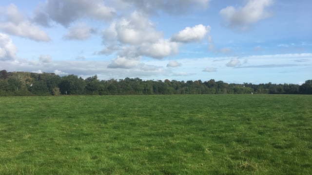 Bellewstown land parcels hit the market