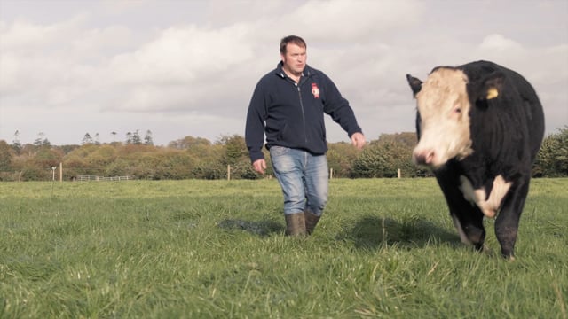 Irish Hereford Prime Farmer of the Year 2020 revealed