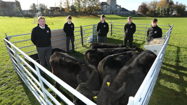 Number of applications for Angus Schools Competition in 2020 sees biggest increase yet