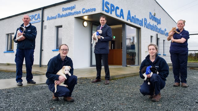 'Record funding' of over €3 million announced for animal welfare organisations