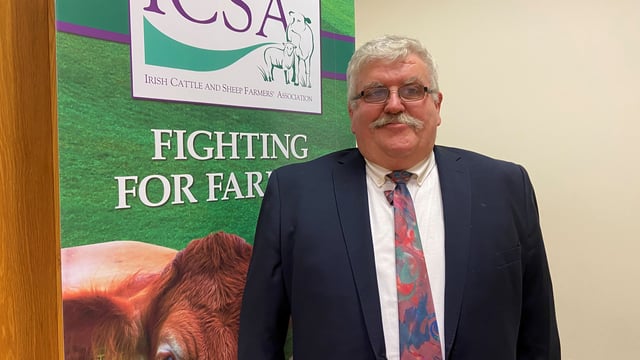 ICSA to hold protest on sheep crisis outside the Dáil