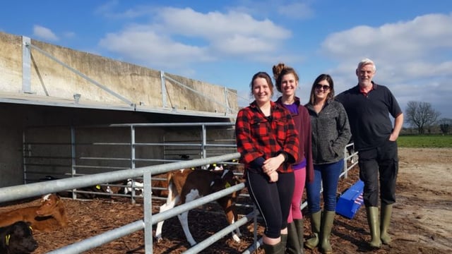 Calf housing throwback: Converting a silage slab into calf housing facilities in Meath