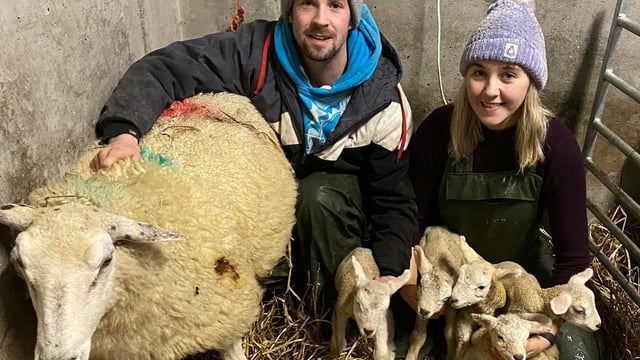 'We can't go on nights out so at least we can lamb sheep' - quintuplets on Donegal farm