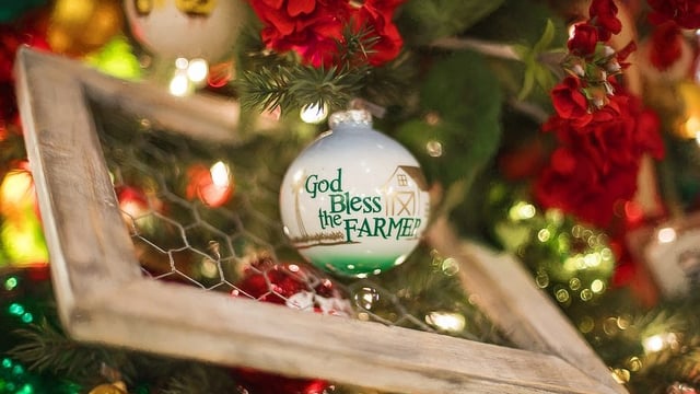 AgriLand's ultimate Christmas gift guide
