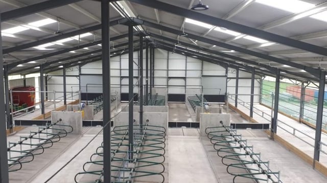 Back In Focus: Housing 80 pedigree Charolais cows in a new cubicle shed in Co. Cavan