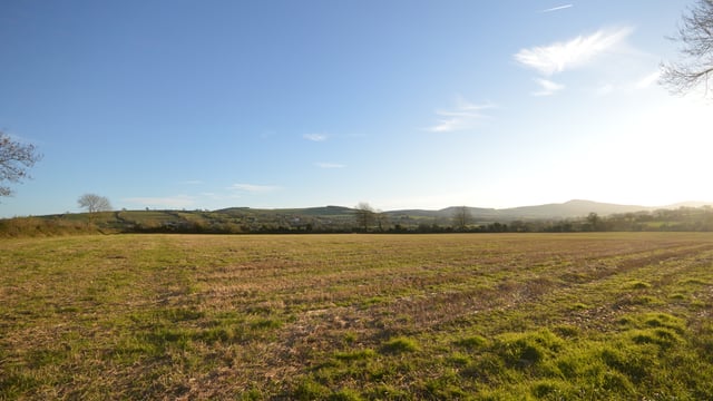 32ac Gorey non-residential farm for sale