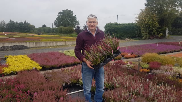 Nursery owner says jobs at risk in horticulture industry