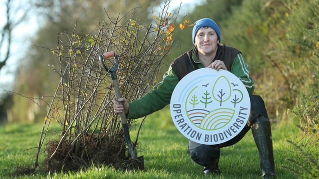Glanbia launches initiative to increase the planting of trees and hedgerows