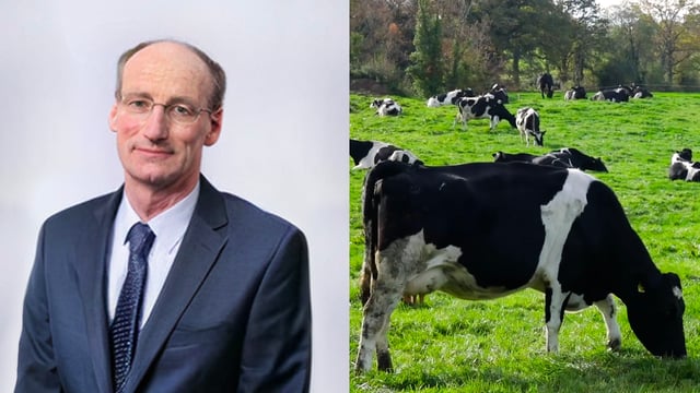 'I'd almost say that Covid-19 had a positive effect on the milk market'