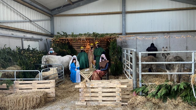 Students organise live crib for charity on Clare farm