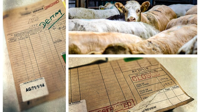 Declassified files: 'Fish was on the plate, but beef (and BSE) were on the menu'