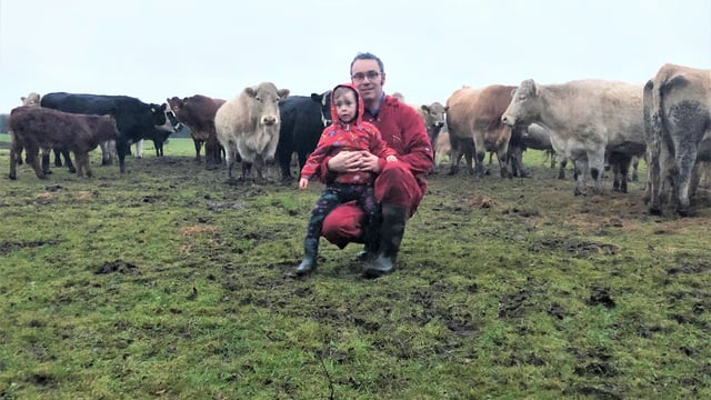 Beef Focus: 'I just find the organic system to be a more natural way of farming'