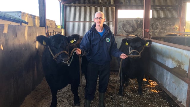 Beef Focus: 'The bull was good enough to sell in Scotland, so that's exactly what we did'
