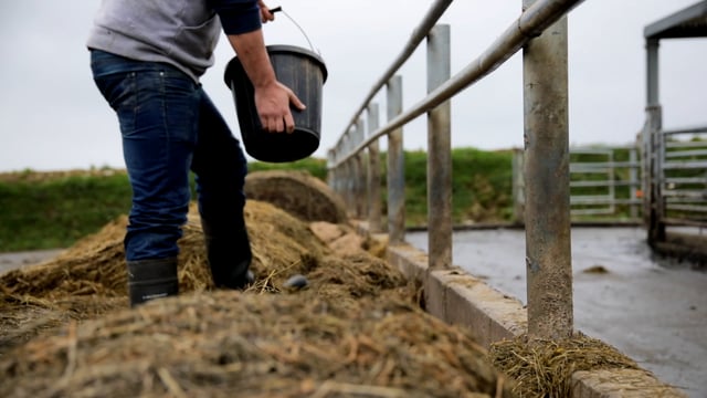 No new employment permits for dairy farm assistants: DETE