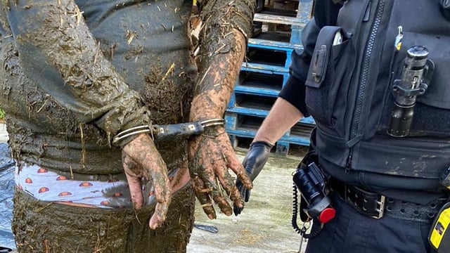 Man arrested after falling 'neck-deep' into slurry pit after police chase