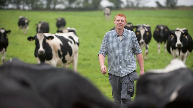 Hurley takes top prize at Carbery Milk Quality and Sustainability Awards