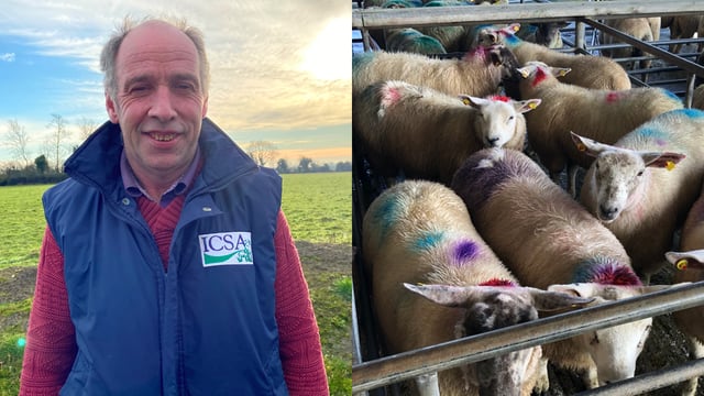 'It's been a good year for sheep farmers but not for all of them'