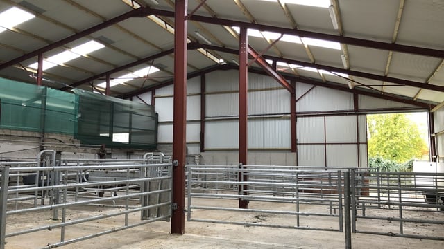 Calf housing throwback: Converting an old cubicle shed into calf housing facilities