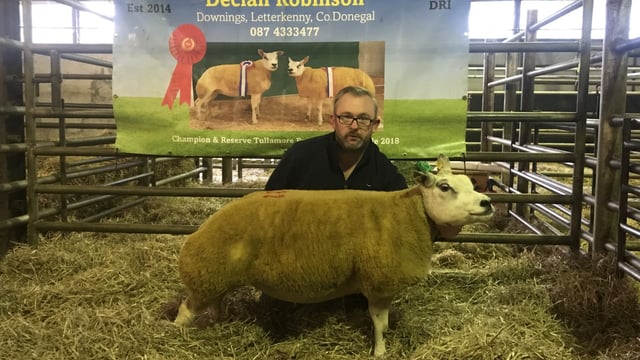 Top price of €2,500 recorded at Belgian Beltex Breeders' Society sale