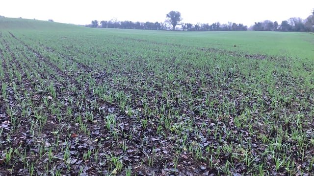 €8m support fund for tillage is a 'drop in the ocean'