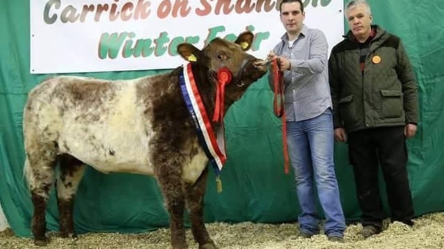 Youngest ever president appointed to the Irish Shorthorn Society