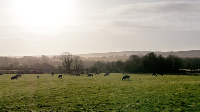 ICMSA to consider dairy exit scheme if 'red line' conditions met