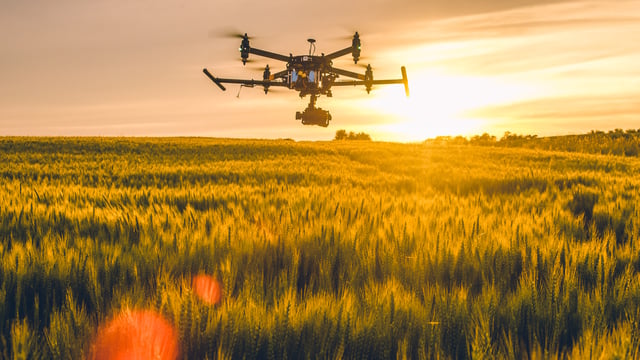 'Technology revolution' in agriculture could reduce environmental impact