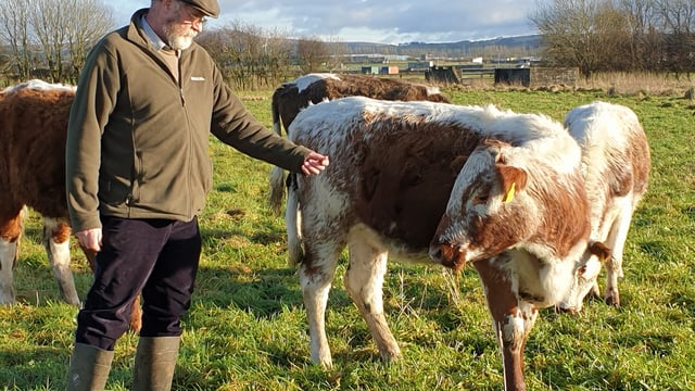 Lough Neagh farmers benefit from £4 million support for agri-environmental projects
