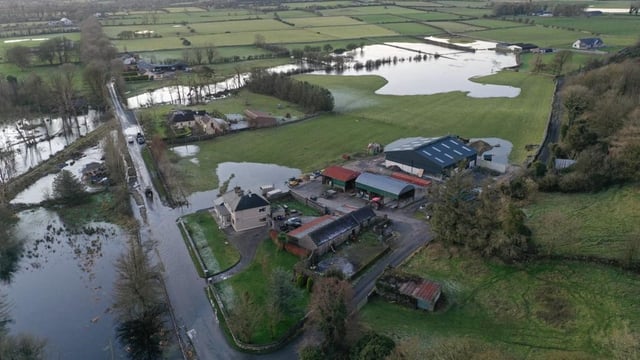 Environmental group succeeds in stalling flood relief works in Roscommon