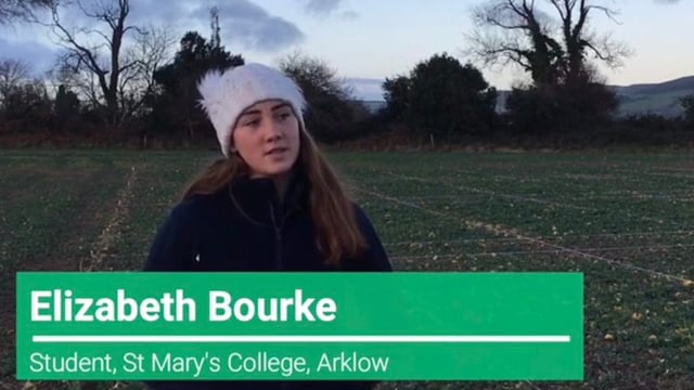 'Wonderful to see young people in STEM' - Hackett congratulates young scientist