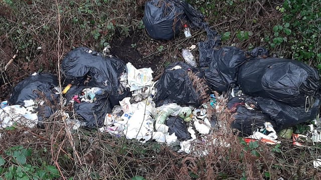 'The whole legislation around illegal dumping is way too soft'