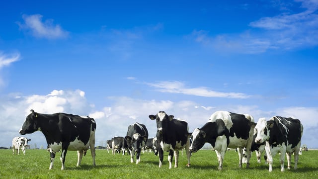 New JBS fertiliser facility has capacity to create 150,000t annually