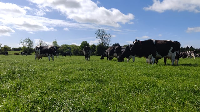 Lely to offer more support to farmers in Cork and south east