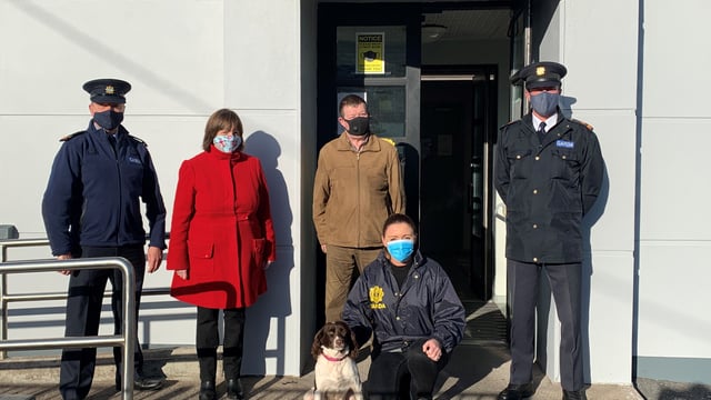 Stolen dog found in the UK and reunited with family in Cork
