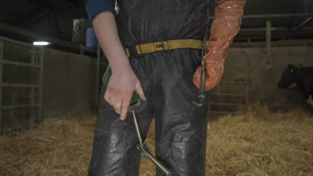 Calving Assist: From YouTube to production...in 4 days