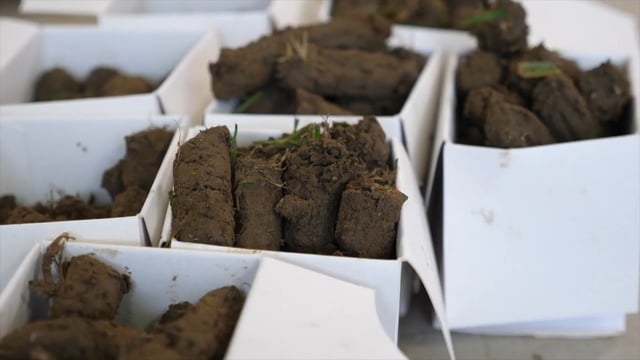 Dairy advice: Now is the best time to go soil sampling
